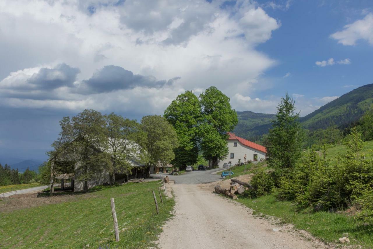 Gornji Grad Turisticna Kmetija Toman 빌라 외부 사진